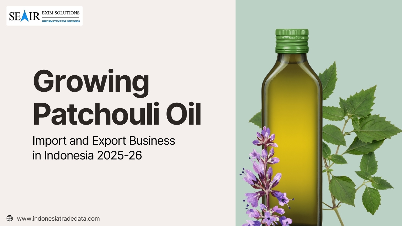 Growing Patchouli Oil Import and Export Business in Indonesia 2025-26